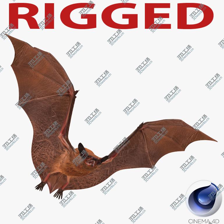 images/goods_img/2021040233/Bat Rigged for Cinema 4D/1.jpg